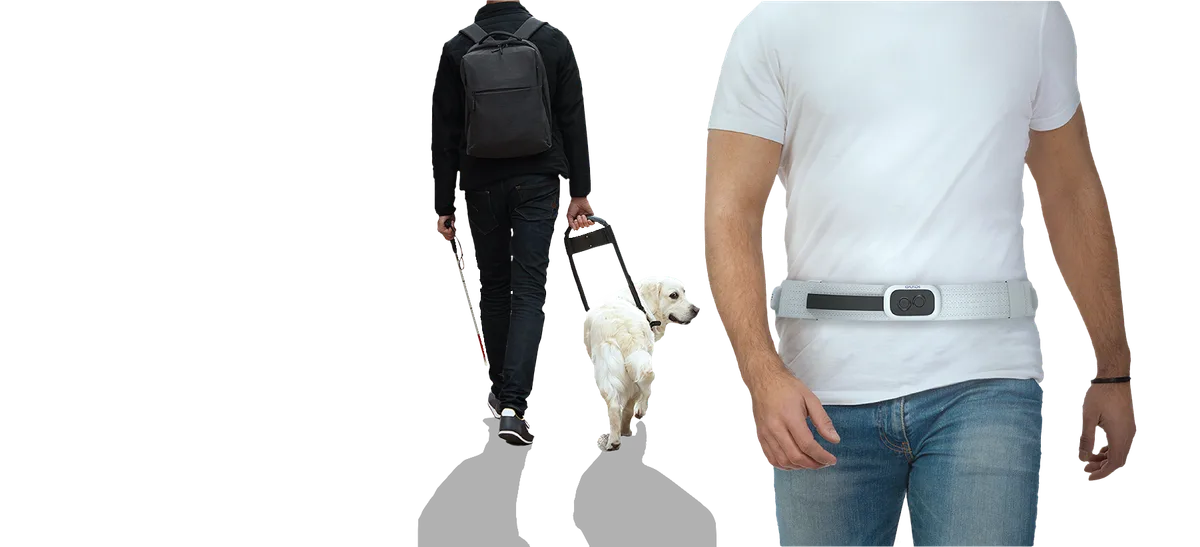 导盲犬使用者与佩戴 GUIDi Belt 使用者的比较
